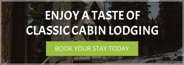 Asheville Log Cabin Motor Court Featured in Out State Magazine. Enjoy a Taste of Classic Cabin Lodging at the NC Cabins for Rent in Asheville at the Log Cabin Motor Court Asheville Log Cabin Motor Court Featured in Out State Magazine. Enjoy a Taste of Classic Cabin Lodging at the NC Cabins for Rent in Asheville at the Log Cabin Motor Court