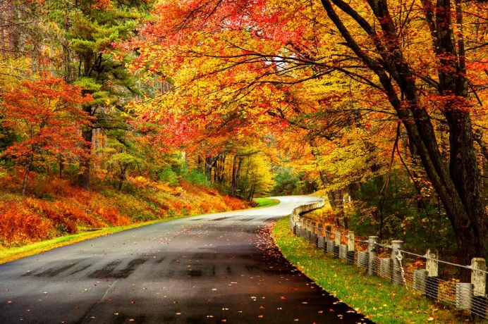 Screenshot 2025-08-15 144220.png