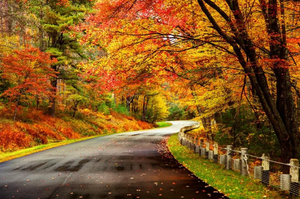 Screenshot 2025-08-15 144220.png